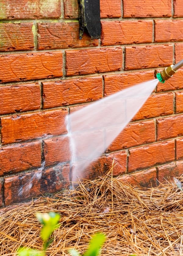 Stone & Brick Cleaning